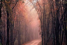 三核发威!里夫斯+东契奇+詹姆斯合砍85分21篮板25助攻.