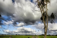 熊猫tv:记者:崔康熙训练前与黄政宇单独沟通 大概率在复盘国足丢球.