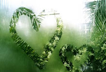 隆戈:阿莱格里和帕拉蒂奇共进晚餐,可能探讨在米兰共事前景.